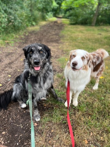 Toby & Stu